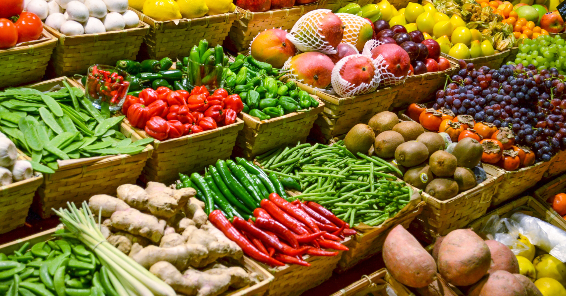 A aisle of fresh vegetables from a grocery store